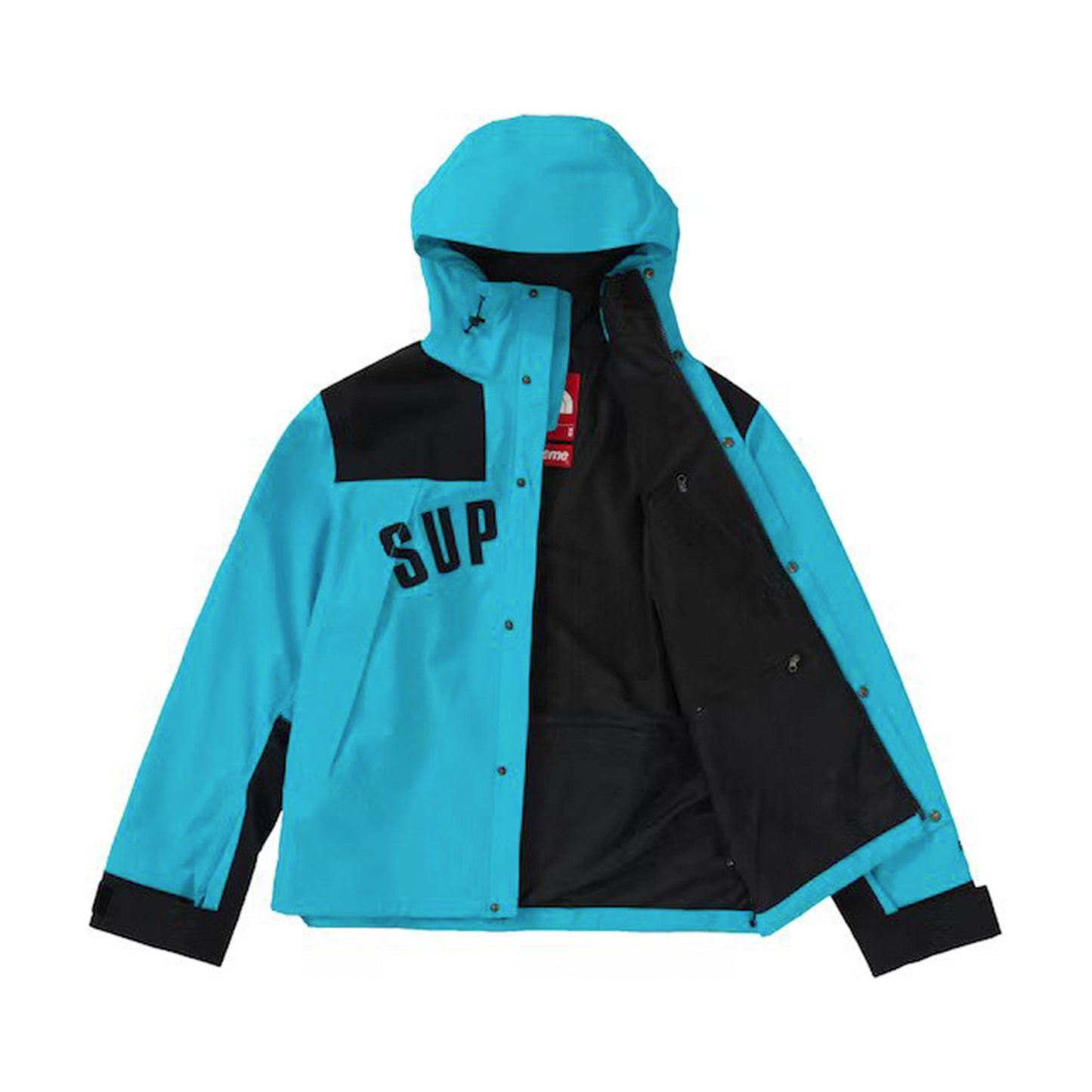 Supreme The North Face Arc Logo Mountain Parka Teal